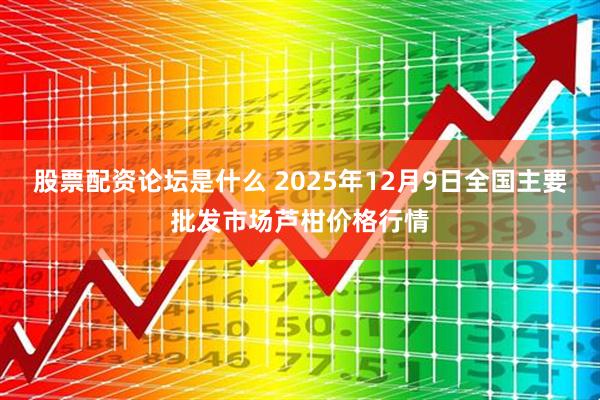 股票配资论坛是什么 2025年12月9日全国主要批发市场芦柑价格行情