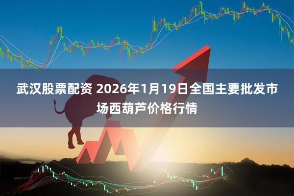 武汉股票配资 2026年1月19日全国主要批发市场西葫芦价格行情
